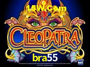 Login Seguro bra55