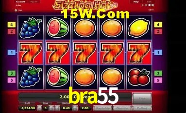 Experiência VIP bra55