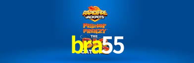 bra55 App Interface